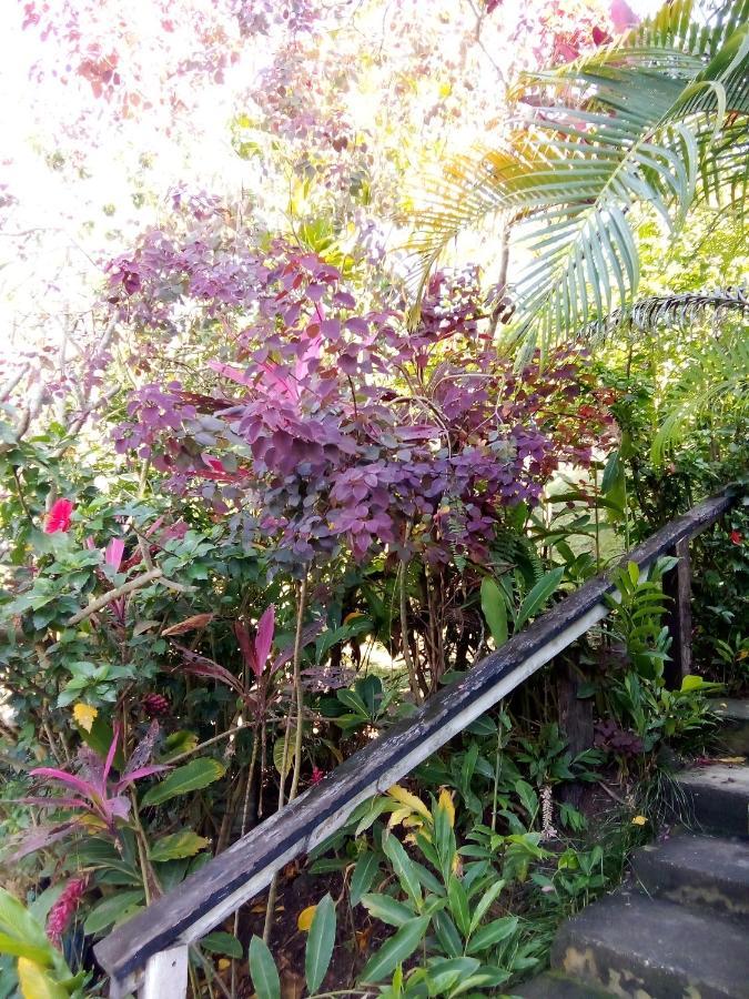 Island Home Honiara Exterior foto
